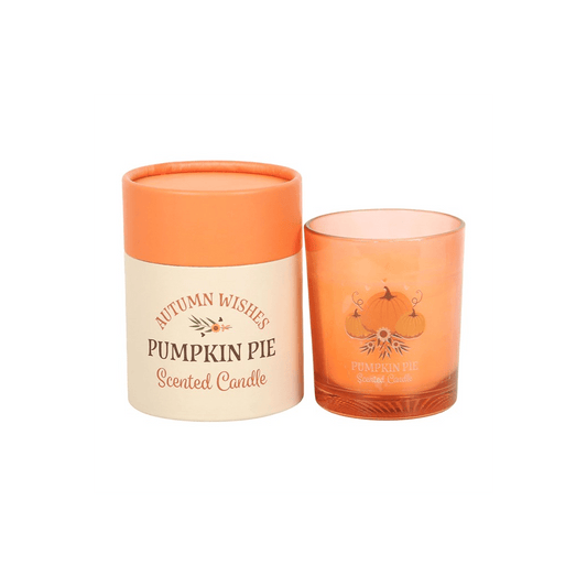 Autumn Wishes Pumpkin Pie Candle skincare