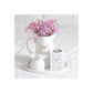 Butterflies Appear Tealight Candle Holder