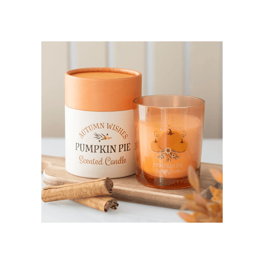 Autumn Wishes Pumpkin Pie Candle skincare