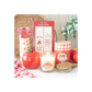 Apple Shaped Candle Jar
