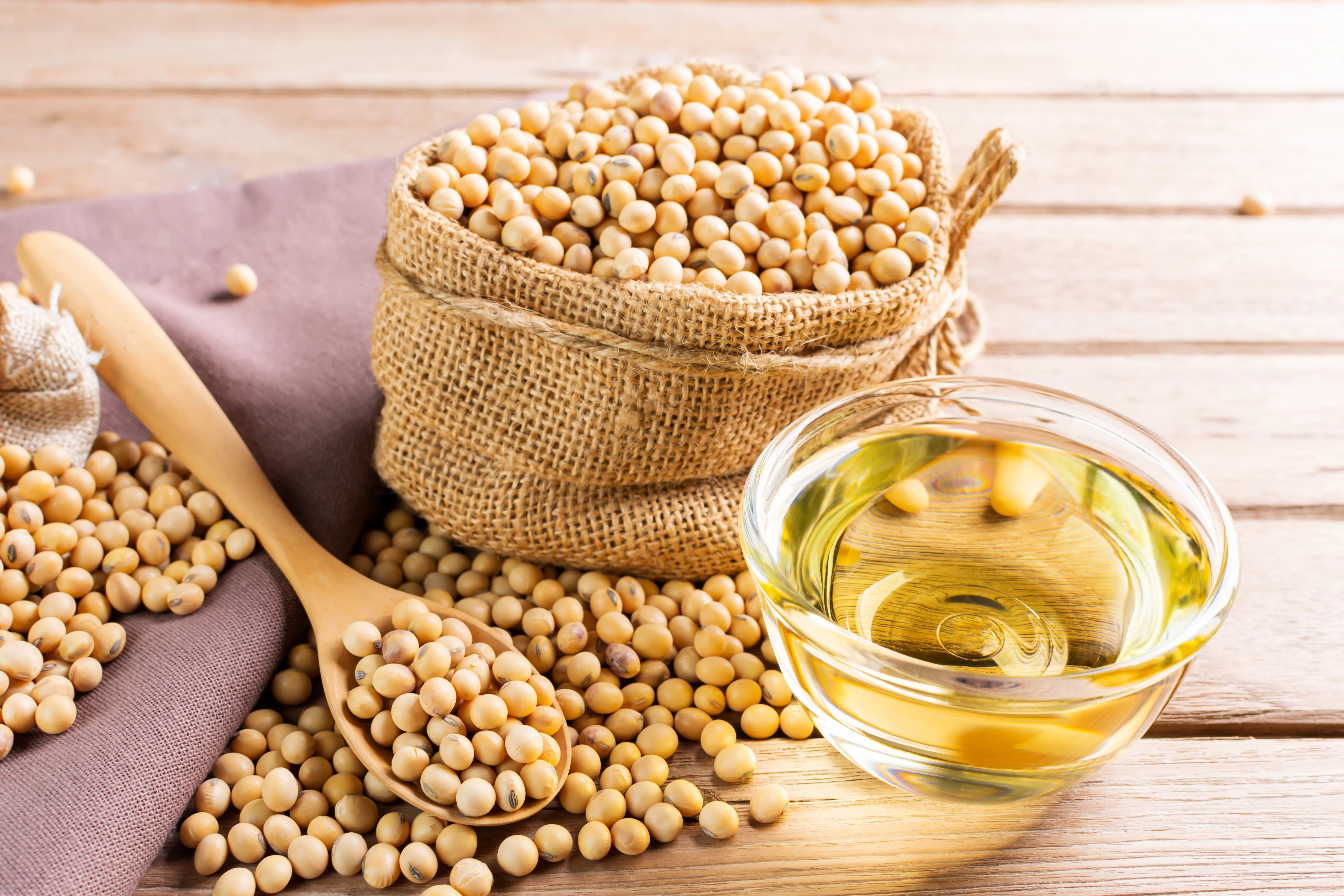 Soybeans, soybean oil, and a wooden spoon on a wooden surface
